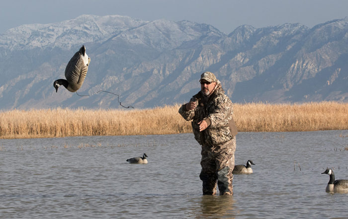 Home Delta Waterfowl