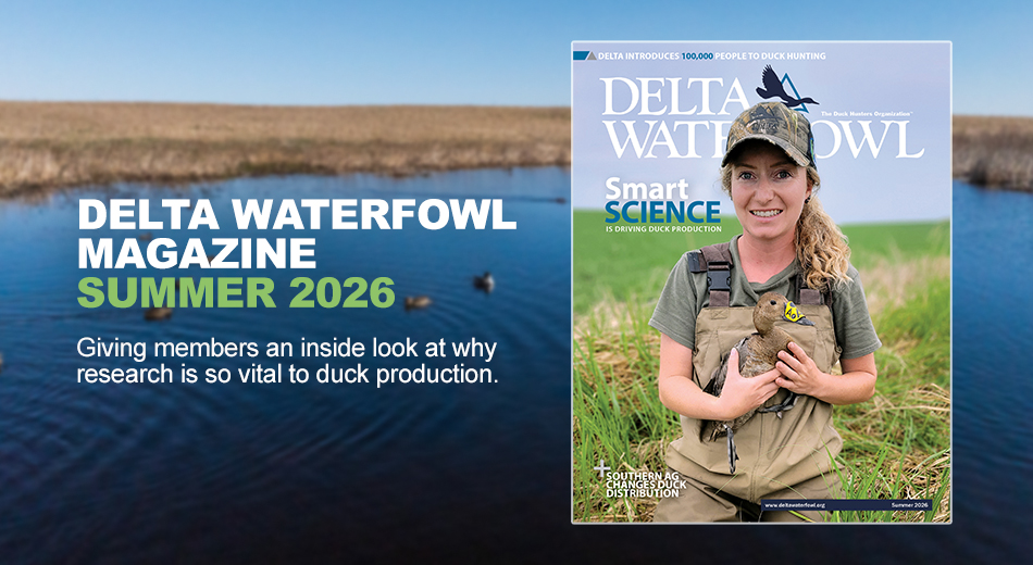 delta waterfowl summer magazine cover