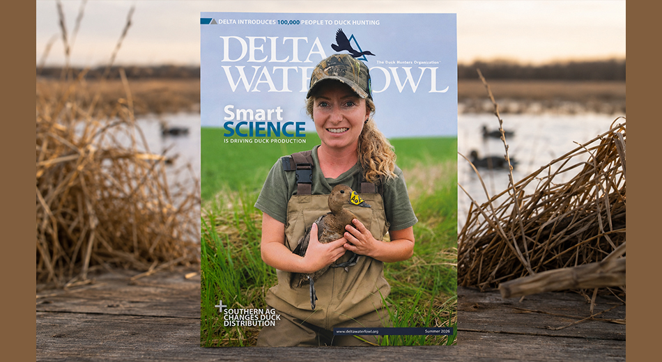 Summer magazine cover