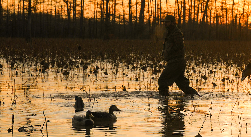 hunter walking in water