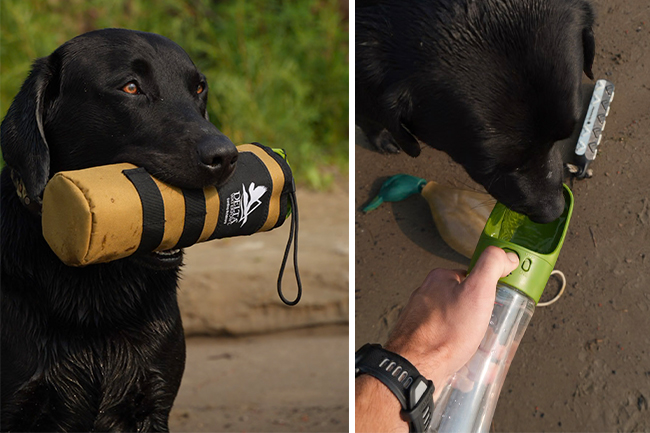 lab with water bottle