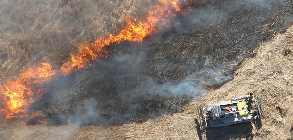 marsh master in burning field