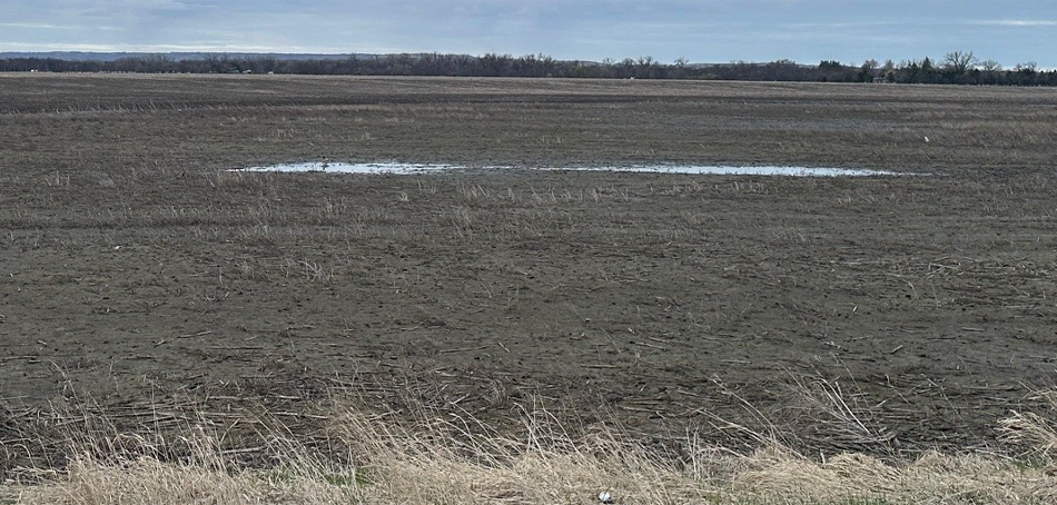 very dry land