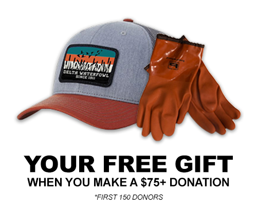 Field to Flight campaign gifts - hat and decoy gloves when you make a donation of $75 or more