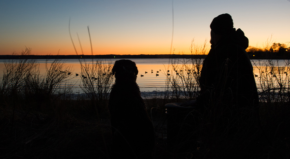 Hunter and dog watching sunrise with decoys in water