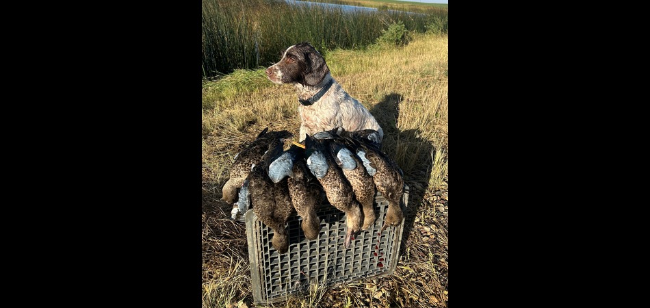 first hunt