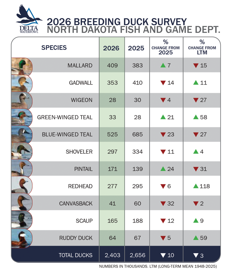 2026 Breeding Duck Survey chart