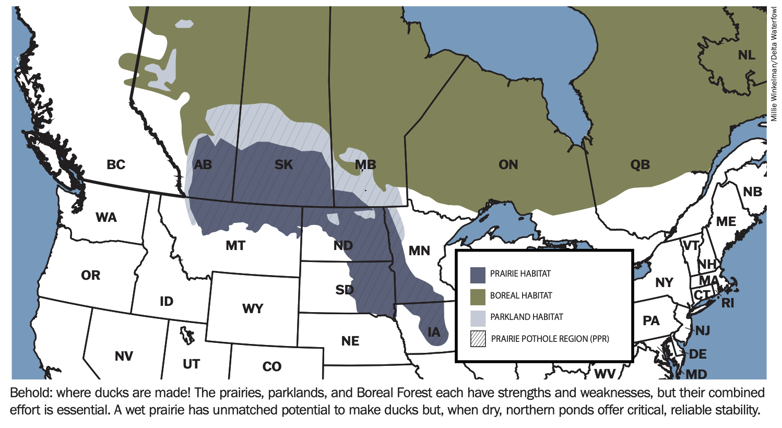 Map of the prairies, parklands, and Boreal Forest