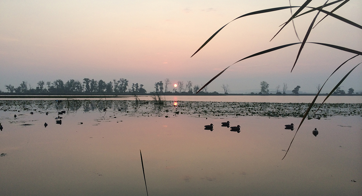 How To Get Kicked Out Of A Duck Blind Delta Waterfowl