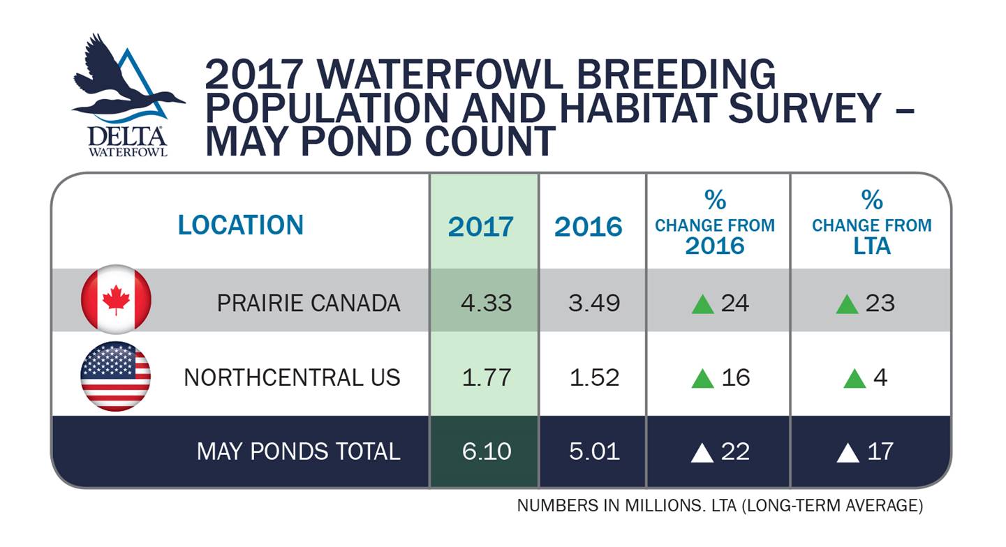 Duck Numbers are FifthHighest on Record Delta Waterfowl