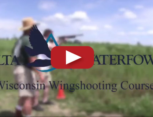 Wisconsin Wingshooting Course
