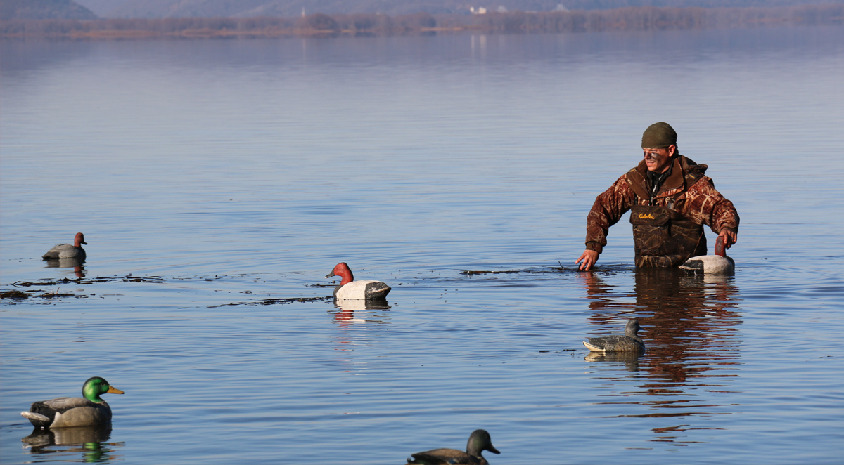 Diver Strategies for Decoy-Challenged Hunters - Delta Waterfowl