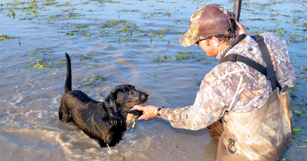 Make Your Own Duck Hunting Honeyhole Delta Waterfowl