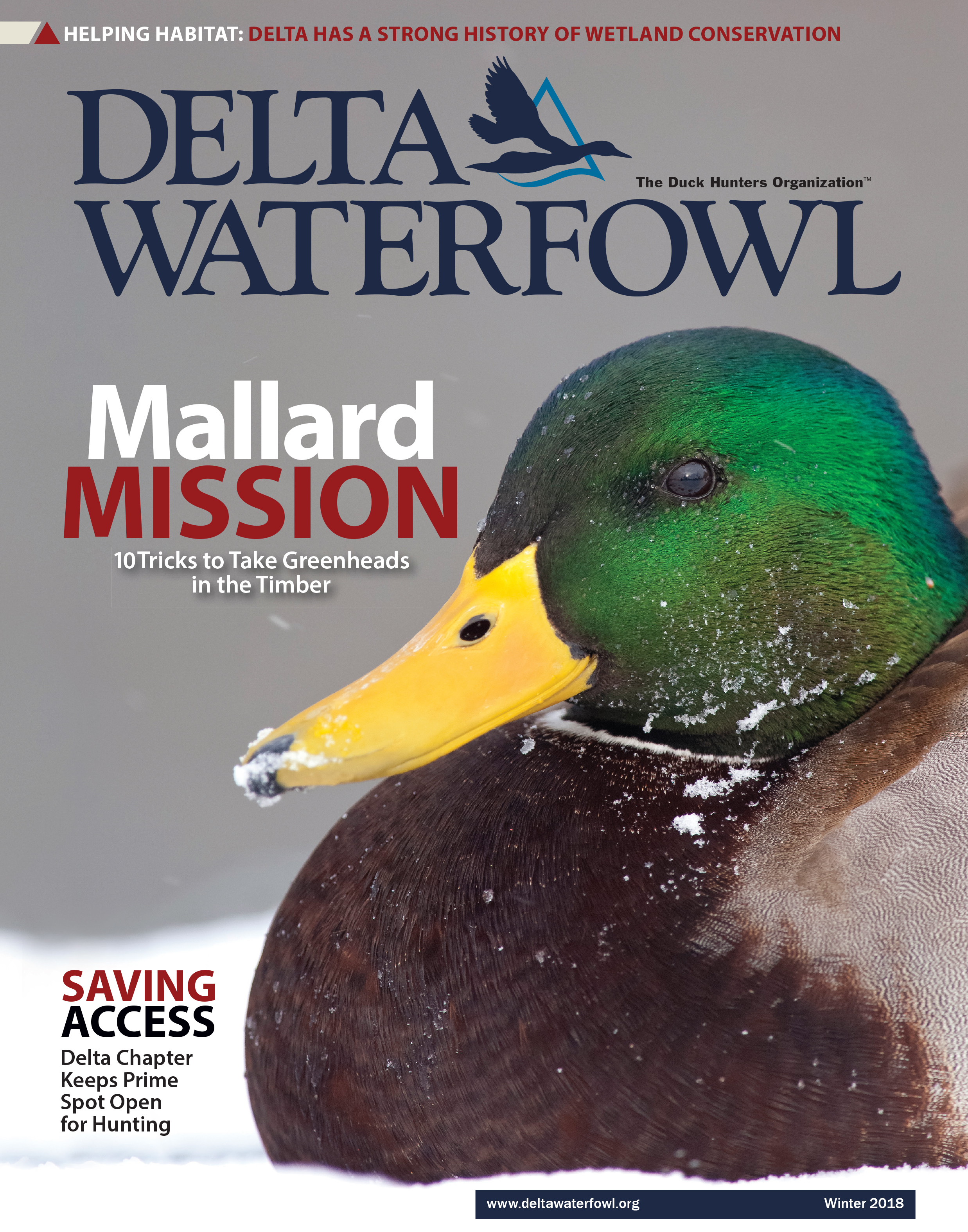 Winter Issue Celebrates Late-Season Hunting, Delta’s Conservation ...