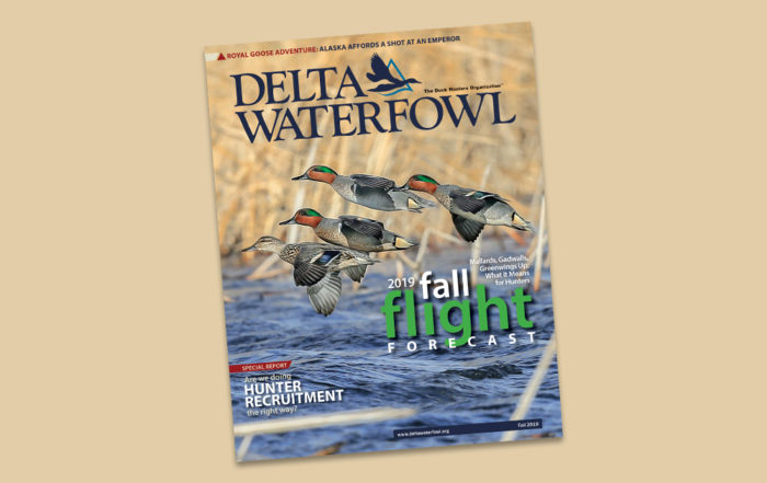 News – Delta Waterfowl