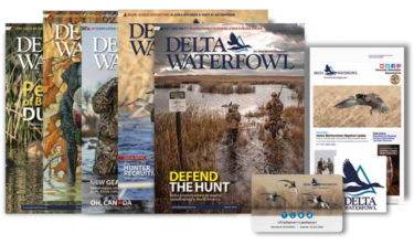 Delta Waterfowl Magazines