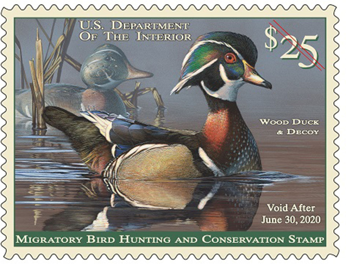 Federal Duck Stamp Contest Will Celebrate Conservation Efforts of