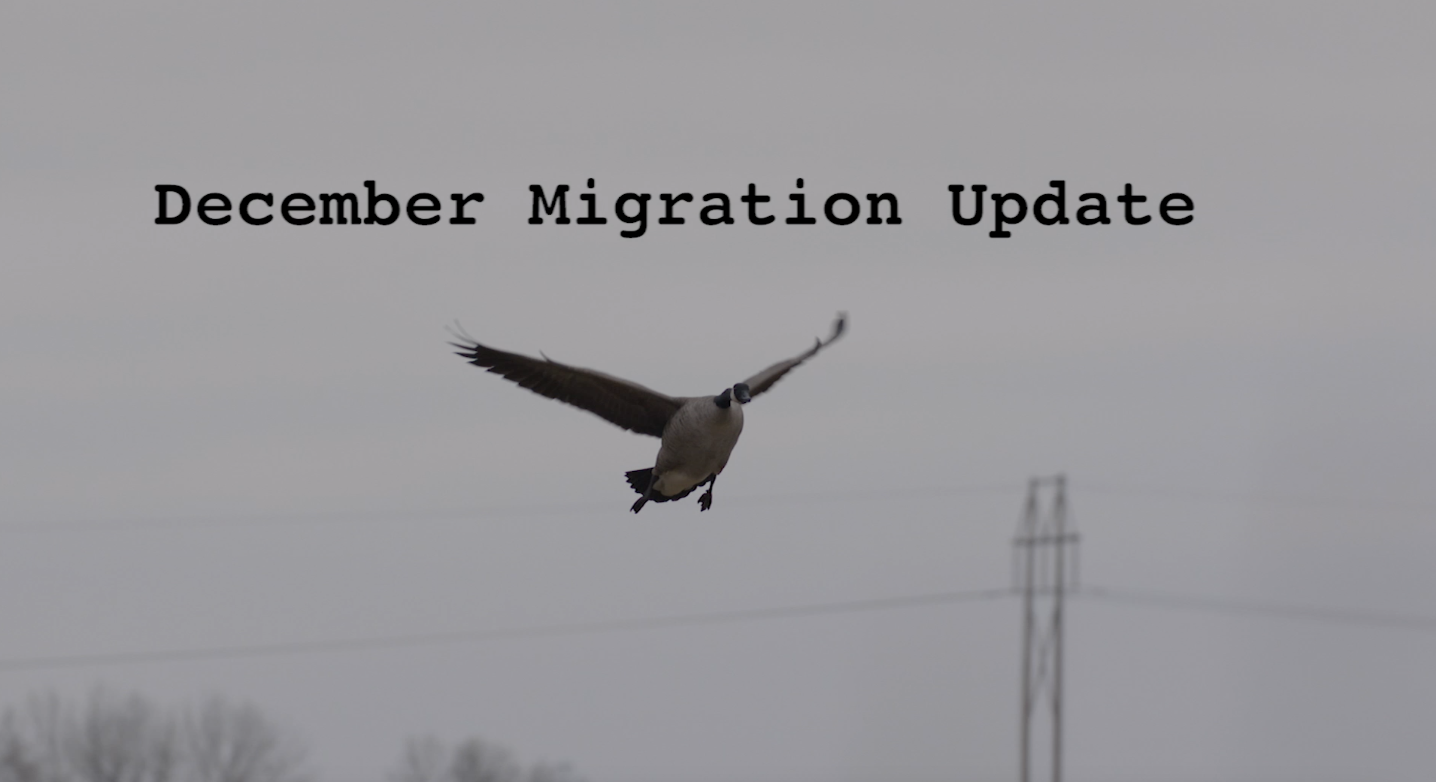 December 2020 Migration Update
