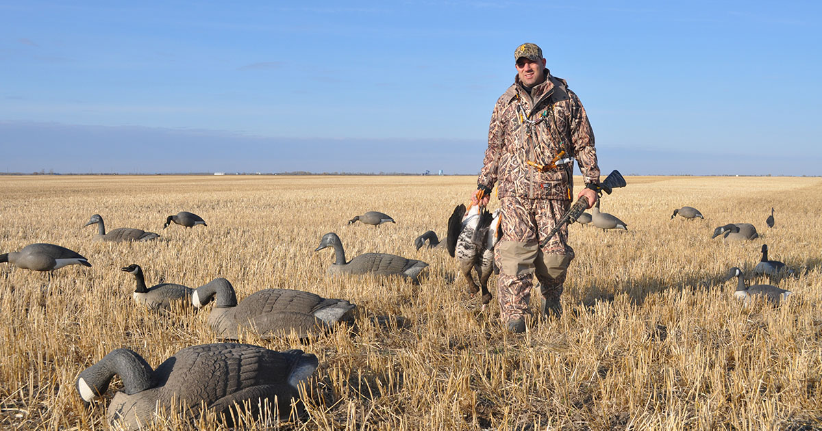 Hunter in field with decoys