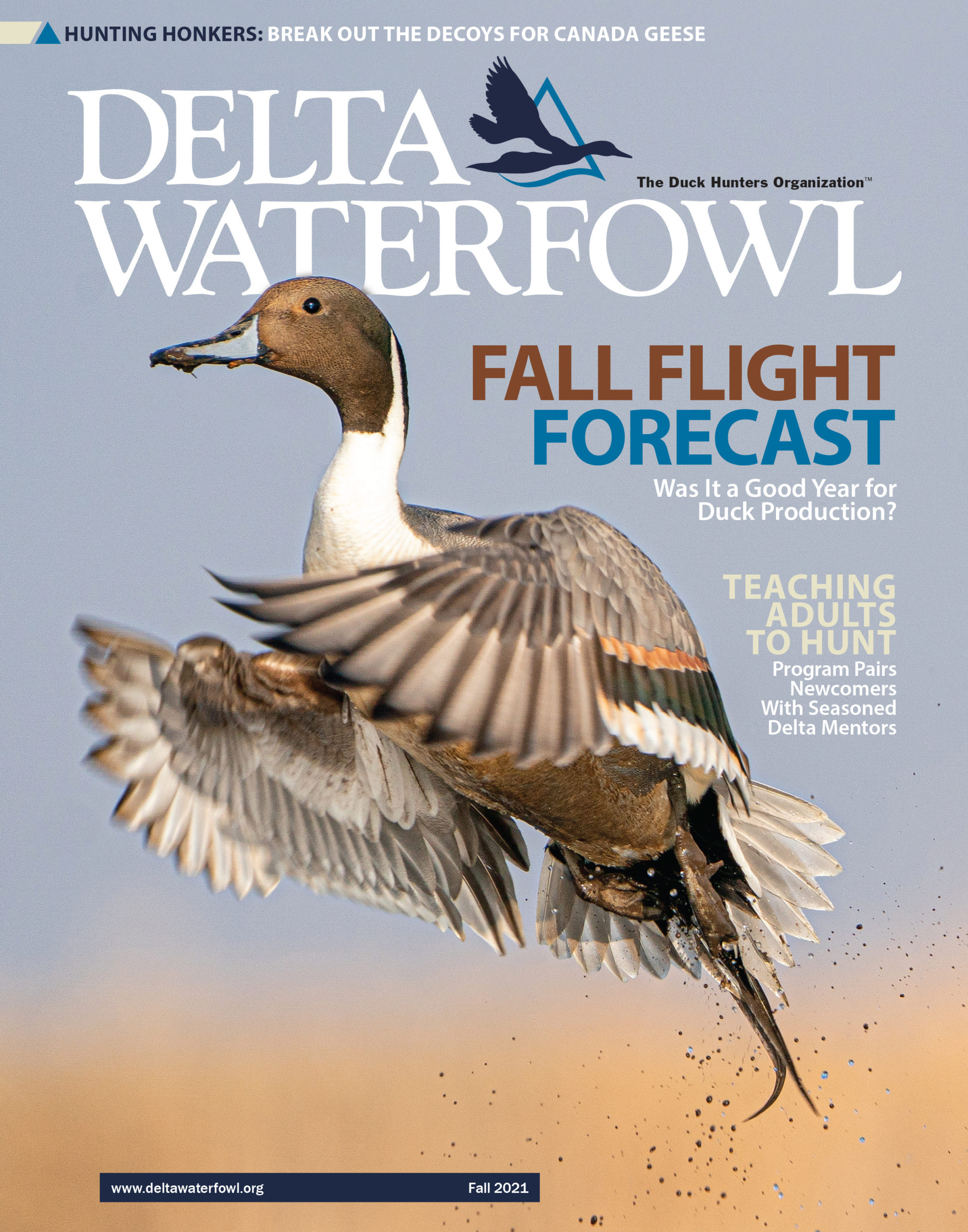 Magazine - Delta Waterfowl