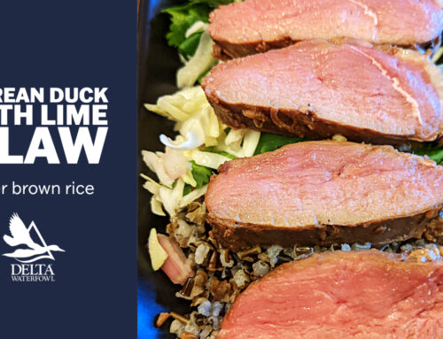 Korean Duck with Lime Slaw Over Brown Rice