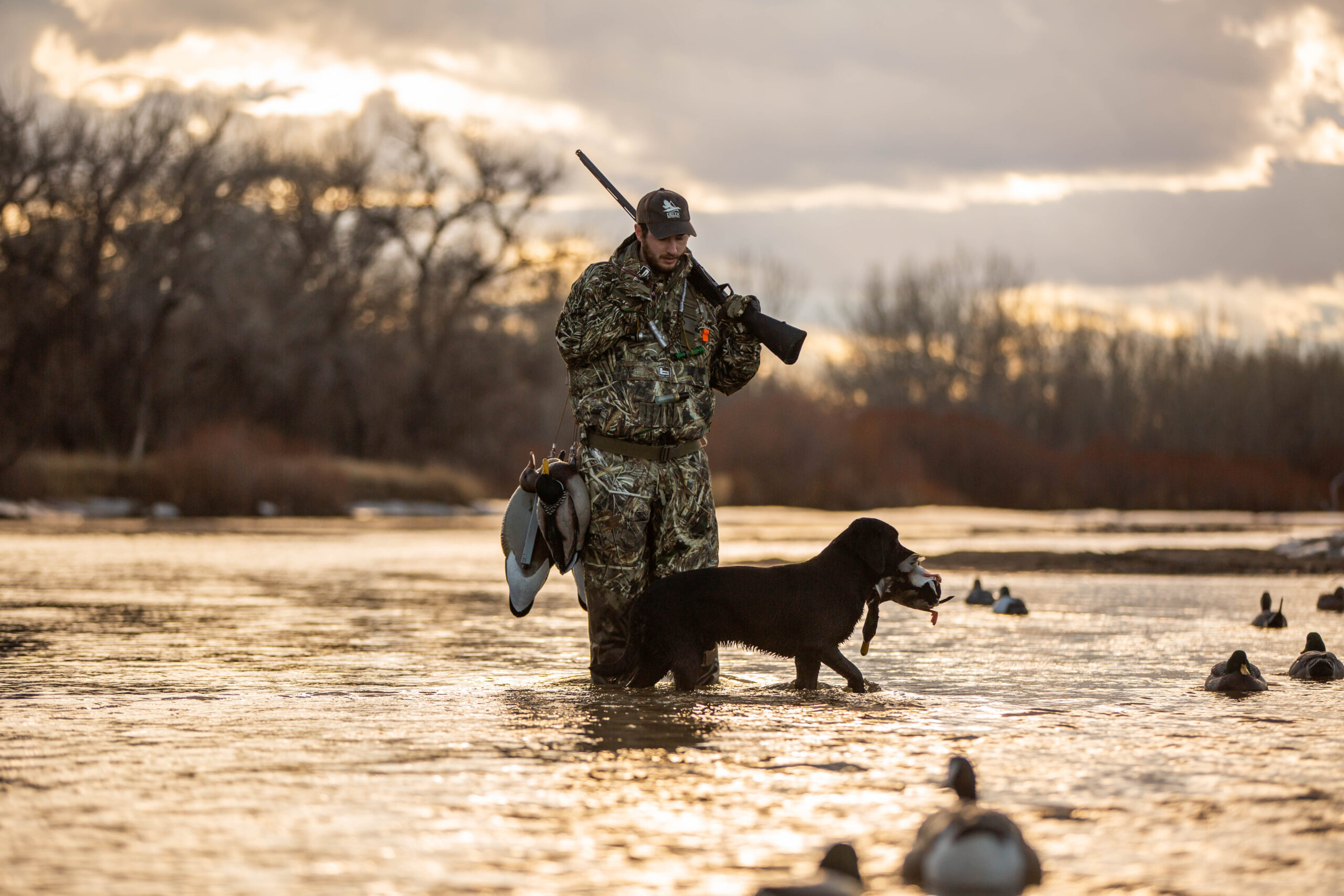 A man and his dog walk through a shimmering river on a duck hunt.