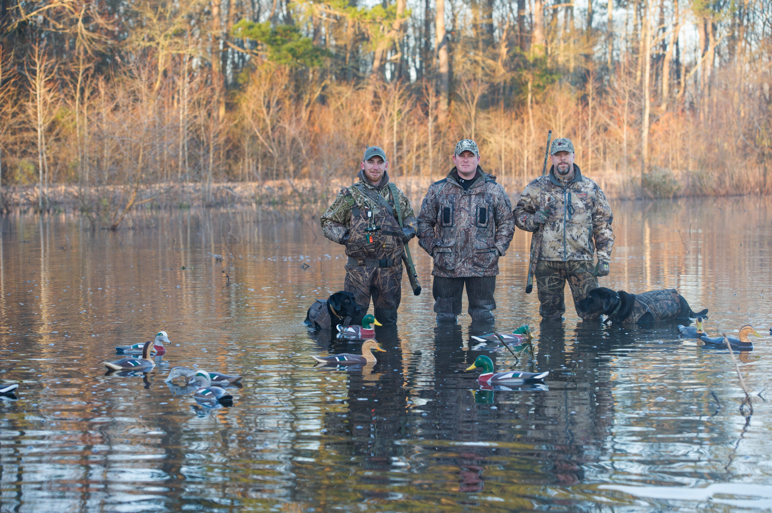 A group of duck hunters with decoys in a knee-deep water in North Carolina.