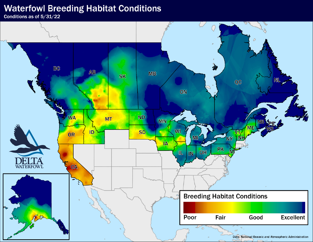 Duck Breeding Habitat Conditions Report as of May 2022