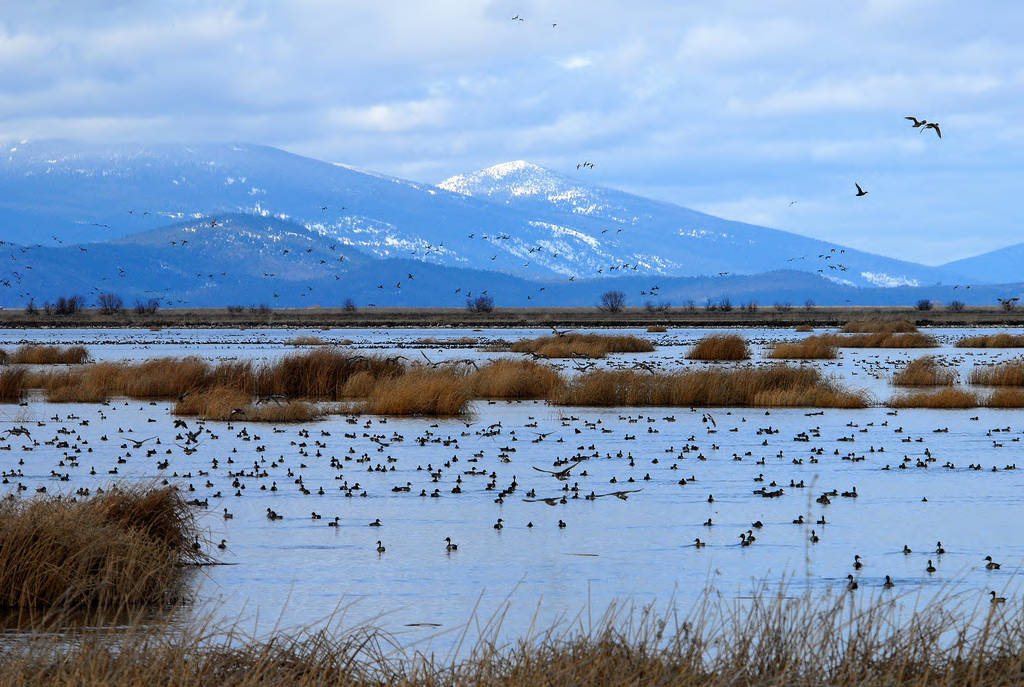 Klamath National Wildlife Refuge