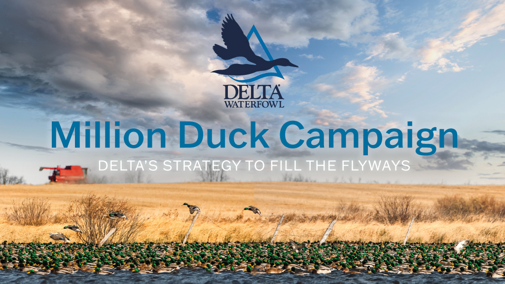 Delta Waterfowl's Million Duck Campaign Launched.