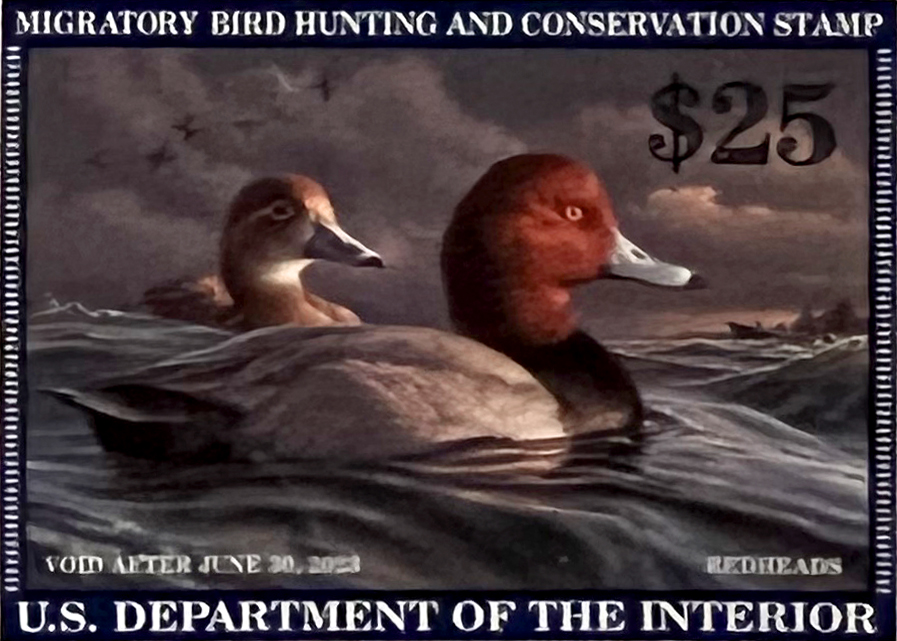 2022-2023 Duck Stamp