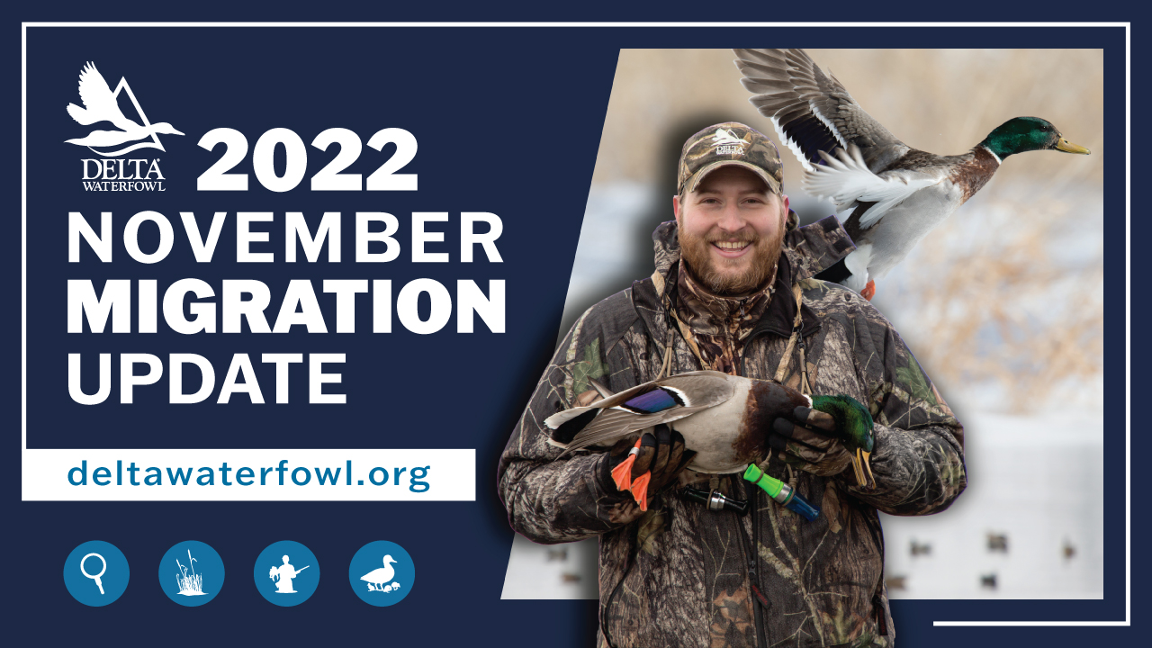 It's October's Migration Report. A hunter is shown imposed in front of a mallard duck in the snow.