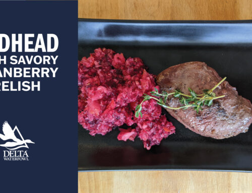 Redhead with Savory Cranberry Relish