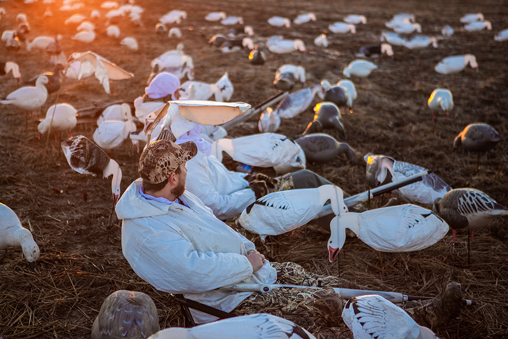 A hunter sits amongst goose decoys in a field.