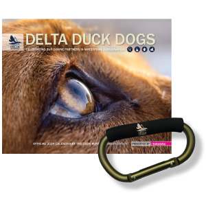 Join Delta Waterfowl during our Fall Direct Mail Campaign and receive a Banded Brands carabiner and 2024 Delta Duck Dogs Calendar.