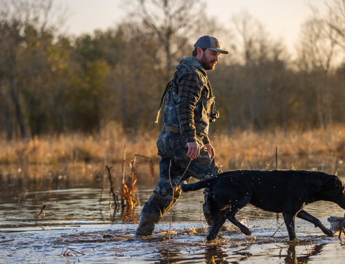 Delta Waterfowl Raises Concerns About New California Tax Affecting Hunters