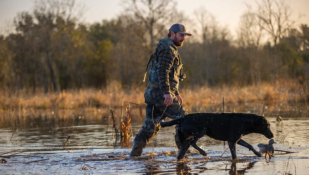 Delta Waterfowl Raises Concerns About New California Tax Affecting Hunters.
