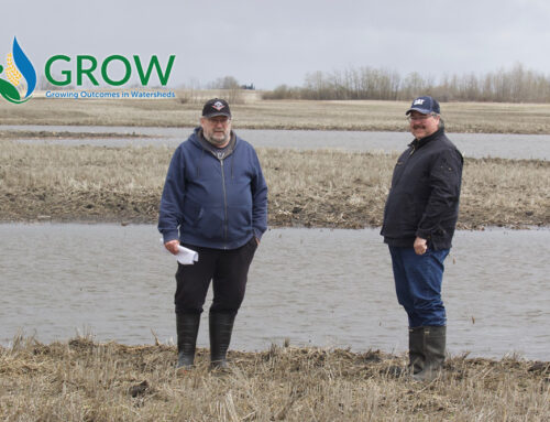 Delta Waterfowl and GROW Program Work to Protect Critical Wetlands in Manitoba