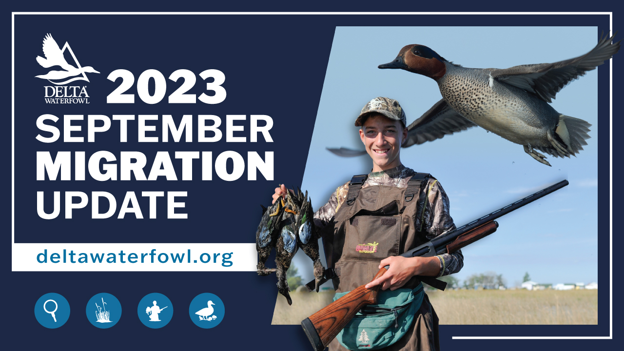 The 2023-2024 fall flight begins across north America. Delta Waterfowl will be bringing you the latest news and migration updates throughout the season. Stay Tuned.