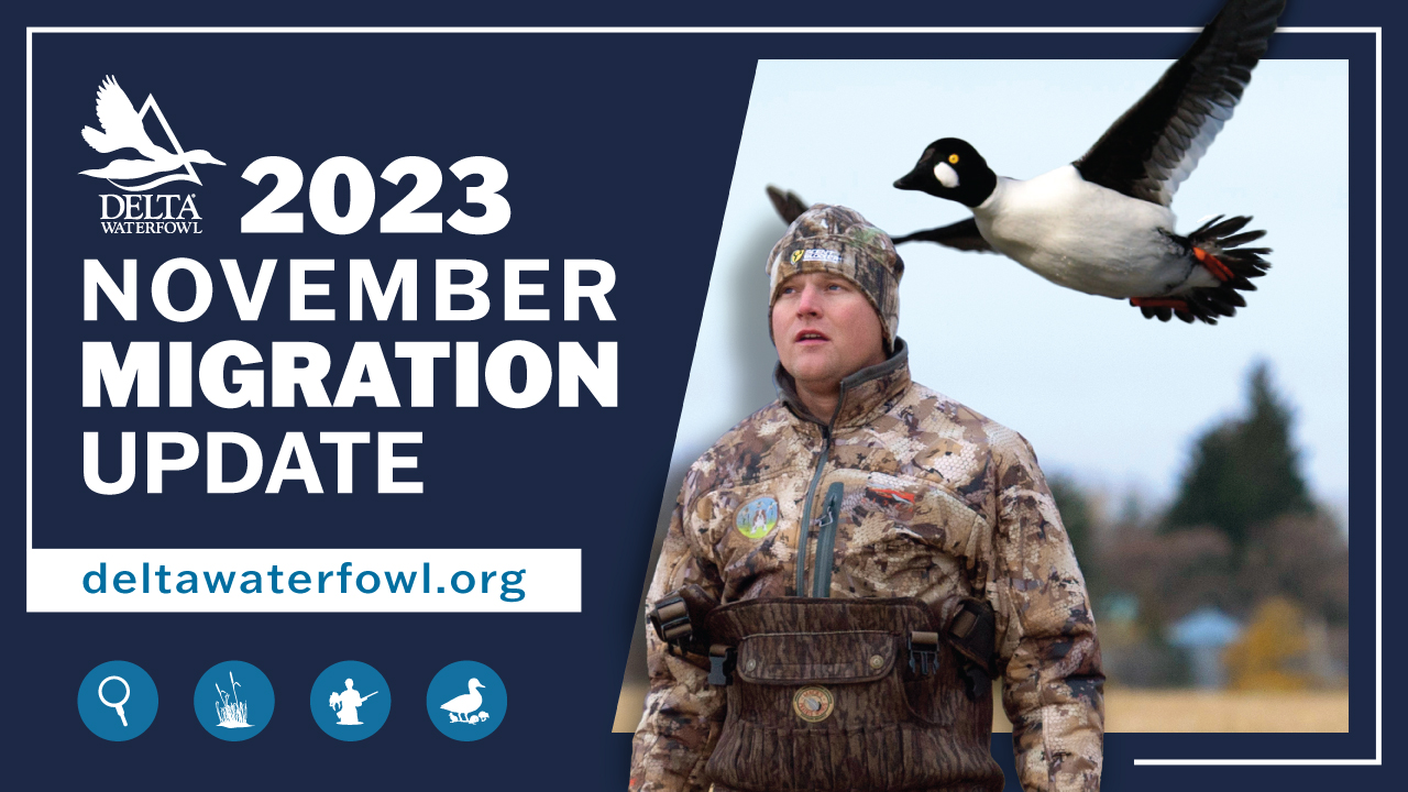 November's Migration Update for 2023 is here!