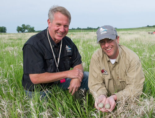 2023 Goose Hunting Outlook - Delta Waterfowl