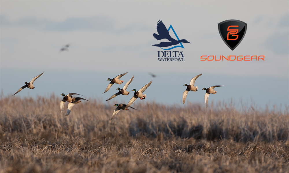 A flock of mallards flies over a brown field. The Delta Waterfowl and SoundGear logos can be seen.
