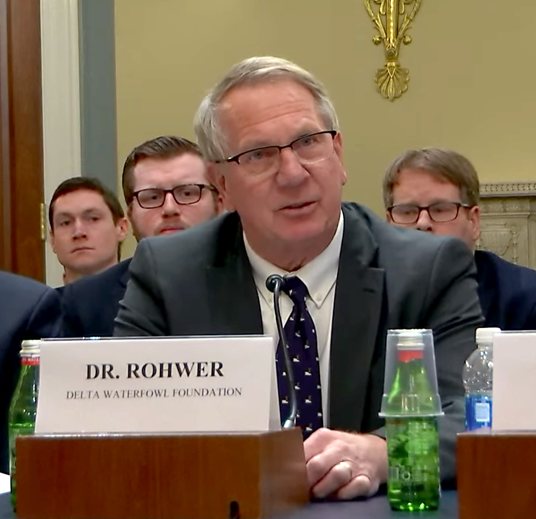 Dr. Frank Rohwer during his testimony before Congress.