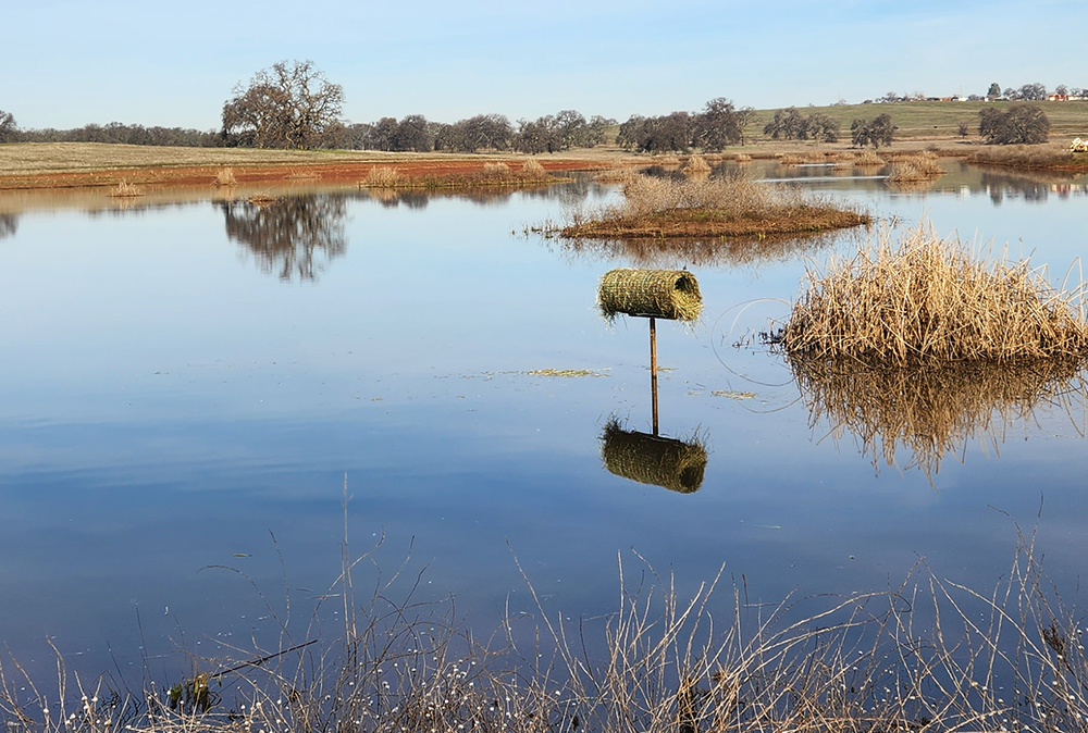 A Delta Waterfowl Hen House can be seen in the water amongst a rural landscape.