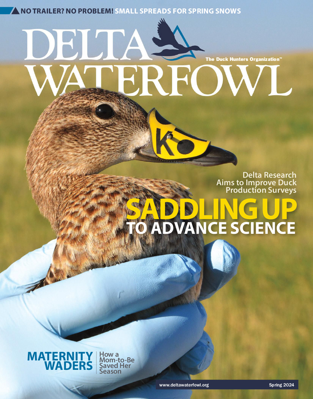 The cover of the Spring 2024 issue of award-winning Delta Waterfowl magazine can be seen.