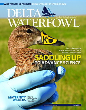 Magazine - Delta Waterfowl