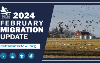 The info graphic for the Migration Update shows the time frame and an image of a hunt.