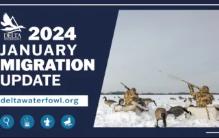 The info graphic for the Migration Update shows the time frame and an image of a hunt.