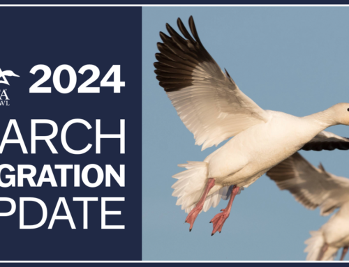 March 2024 Migration Update