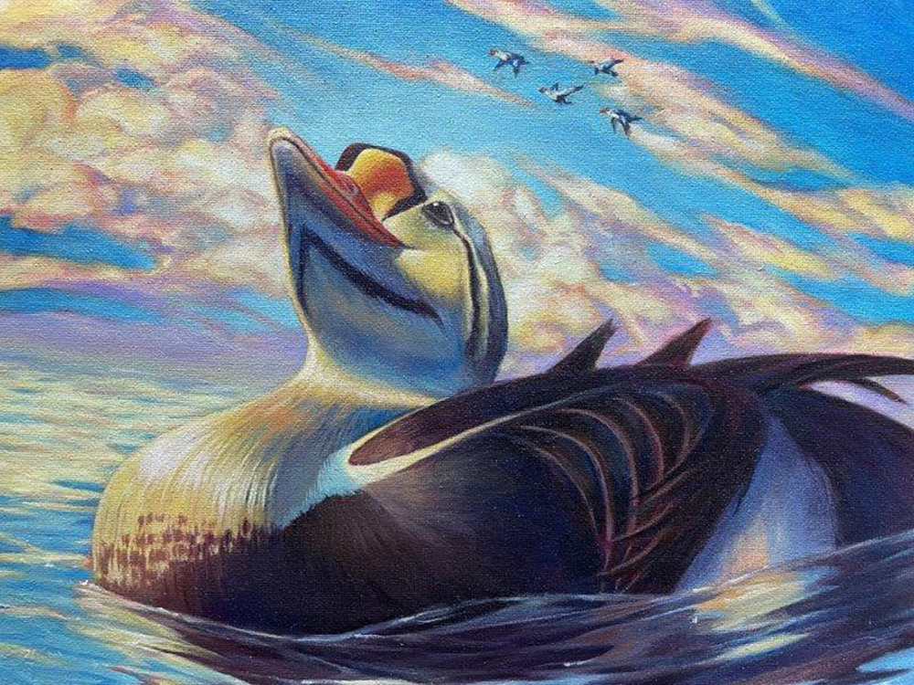 First place in the 2024 National Junior Duck Stamp Art Contest was Emily Lian's oil painting of a King Eider© USFWS